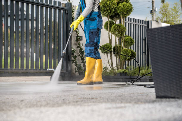 Best Driveway Pressure Washing  in Miami Springs, FL